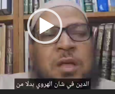طعن أبو الفضل المصري بالإمام الهروي ينسب له الحلول